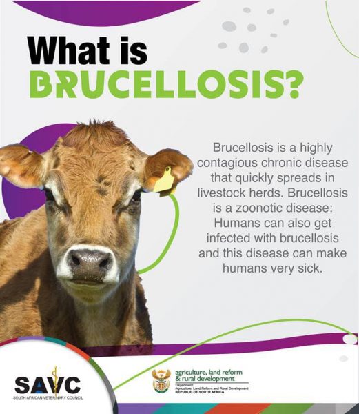 Brucellosis Awareness Months – Dairy Technology Society